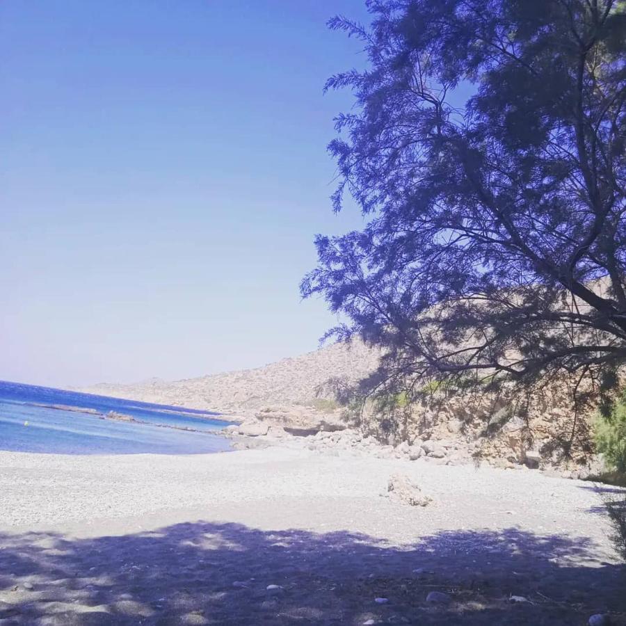 Studios Anna Maria With Sea View Kapetaniana Luaran gambar